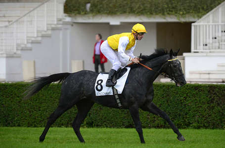 Actualités Hippiques